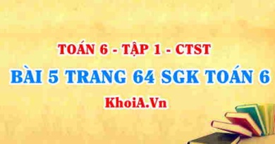 Bài 5 trang 64 SGK Toán 6 Chân trời sáng tạo Tập 1